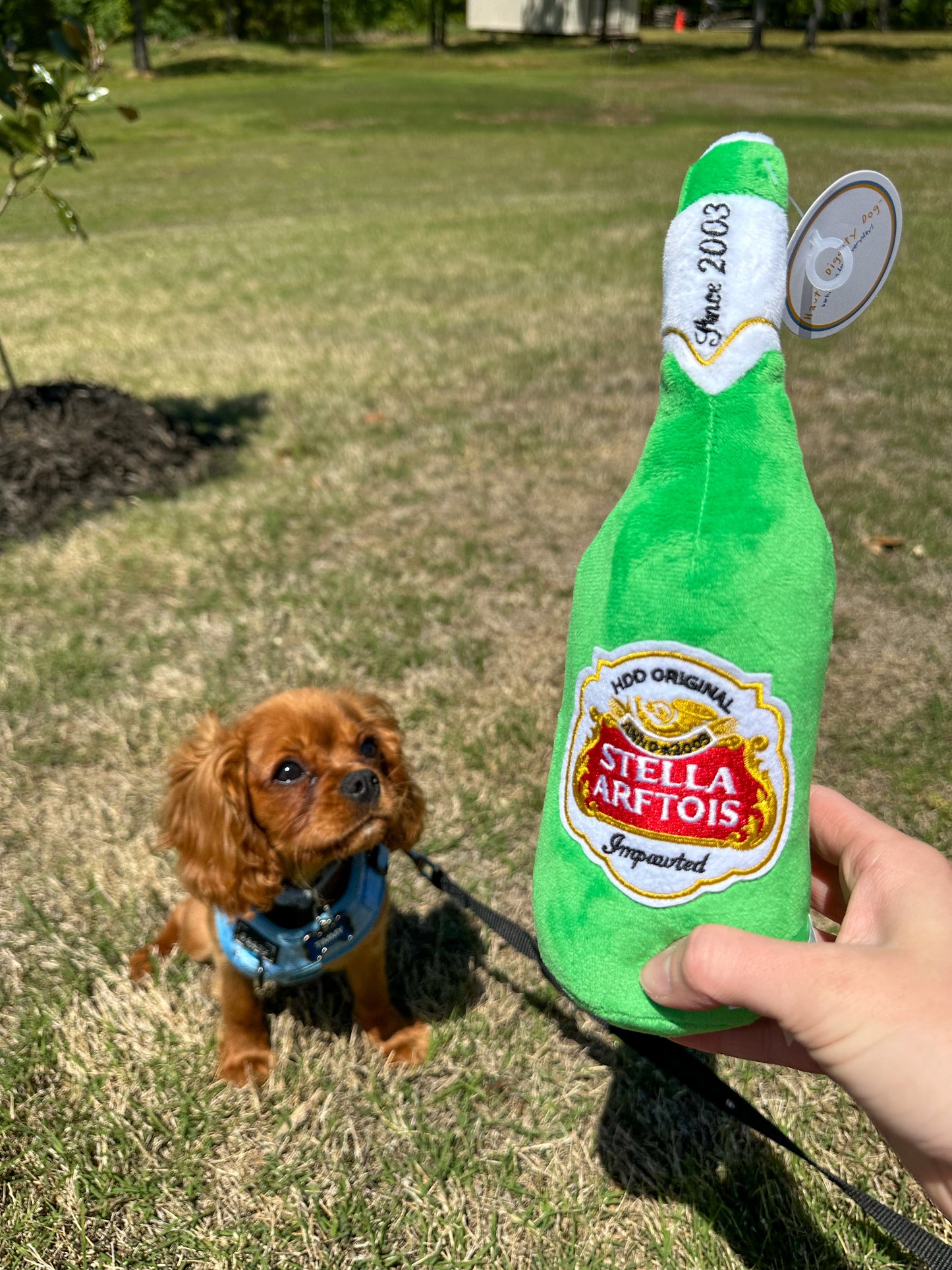 Stella Arftois Beer Squeaker Dog Toy