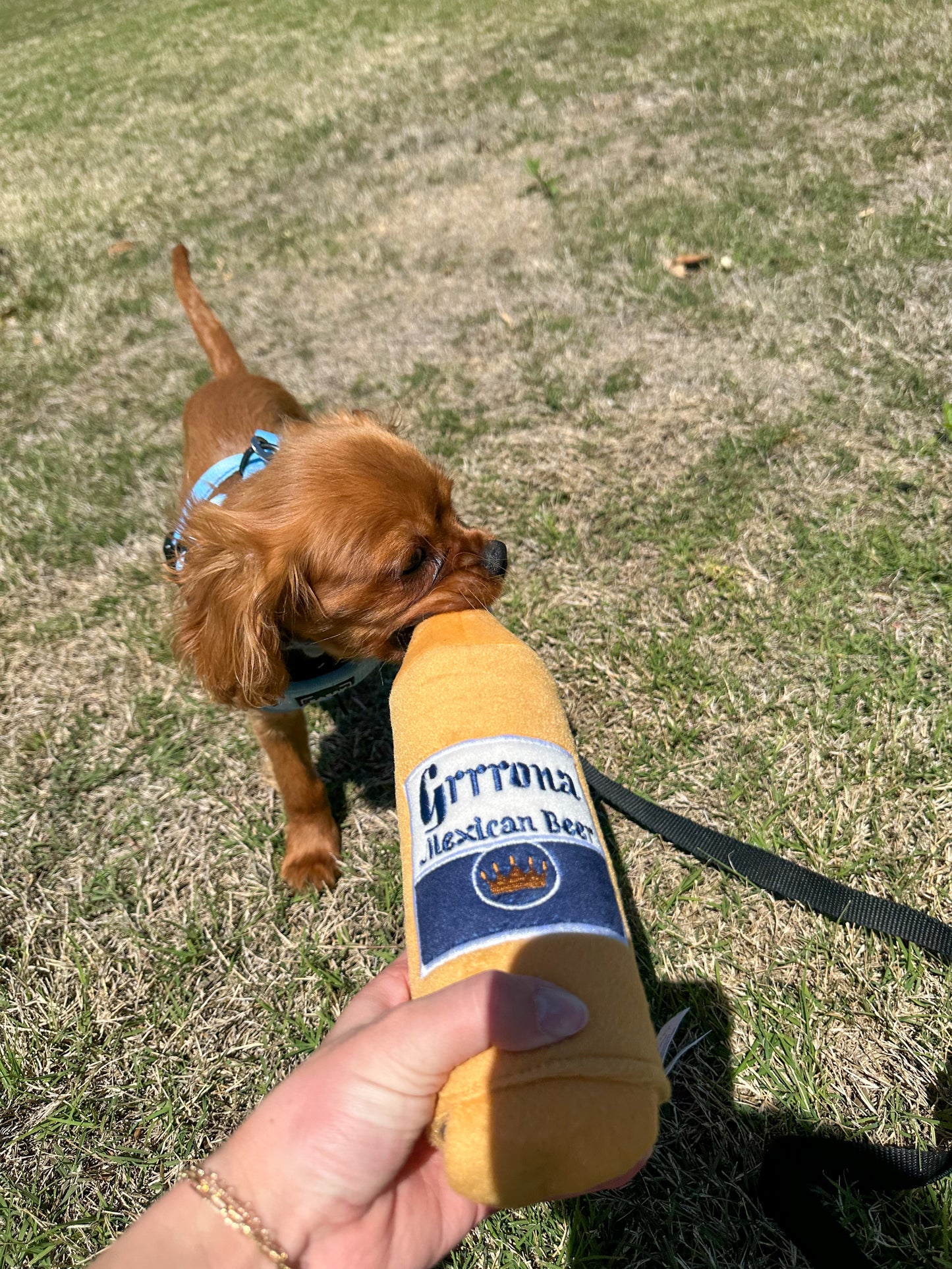 Grrrona Beer Water Bottle Crackler Dog Toy